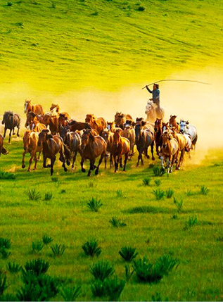 Inner Mongolia Tour