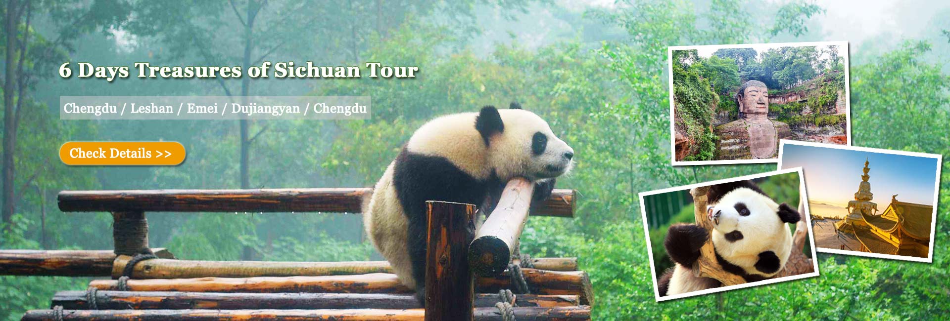 China Panda Tours