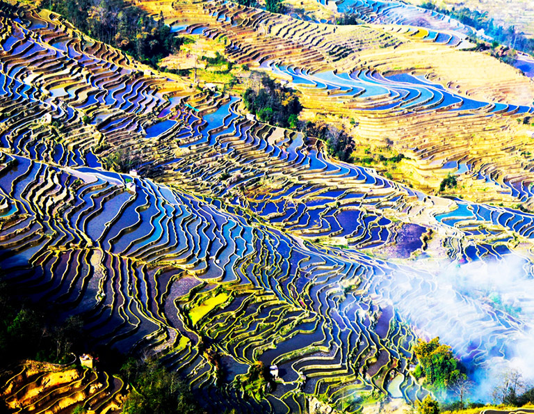 Bada Rice Terrace