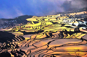 Yuanyang Rice Terraces