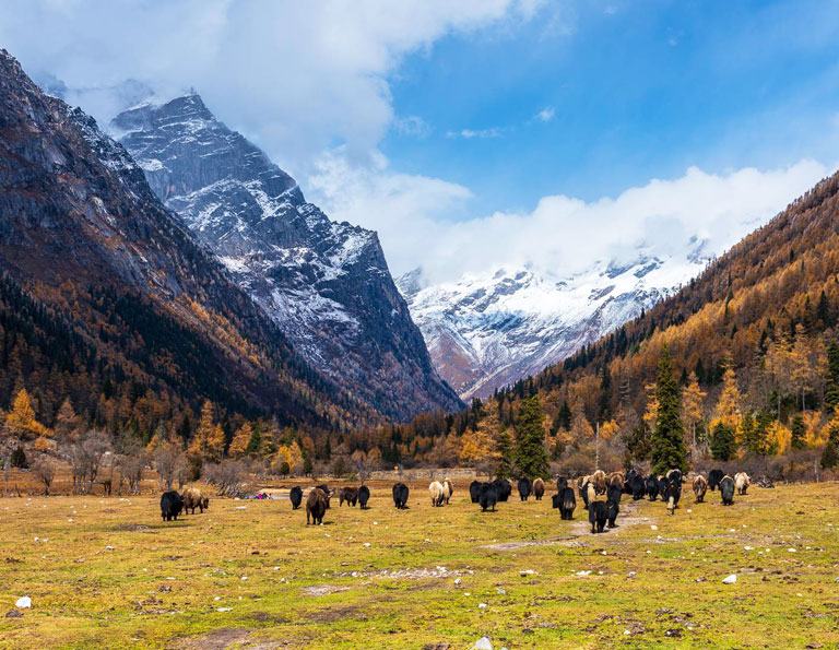 Changping Valley Muluozi in Autumn