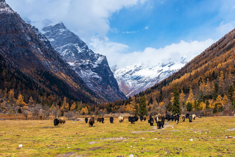 Changping Valley Muluozi in Autumn