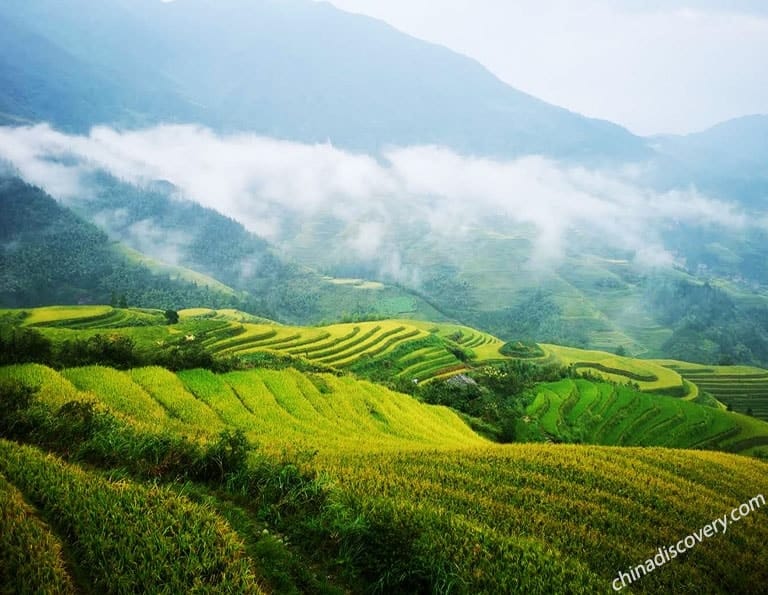 Chona from Philippines - Longji Rice Terrices