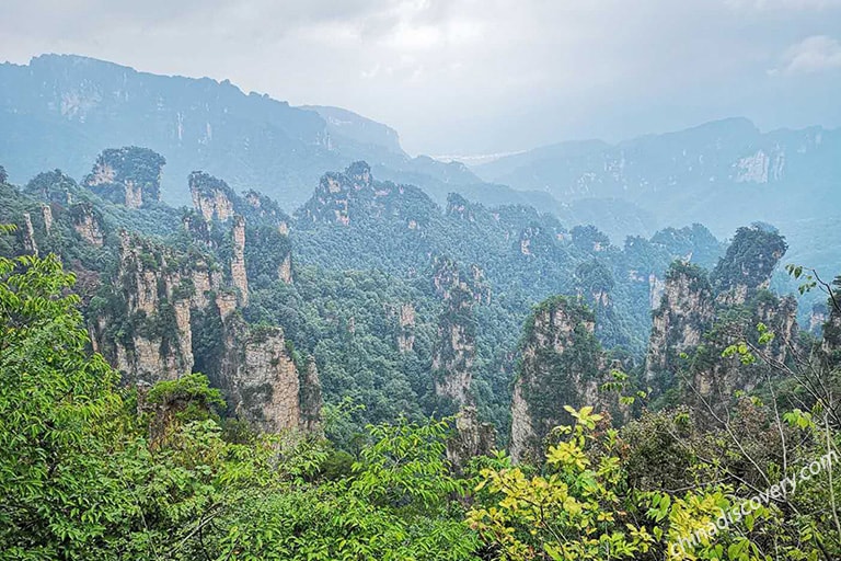 Chona from Philippines - Tianzi Mountain's Forests, Zhangjiajie