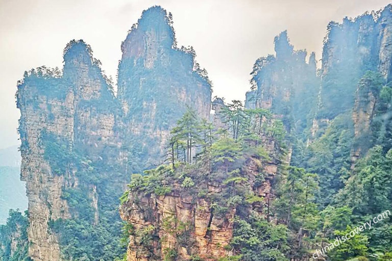 Chona from Philippines - Tianzi Mountain Pillar Forest