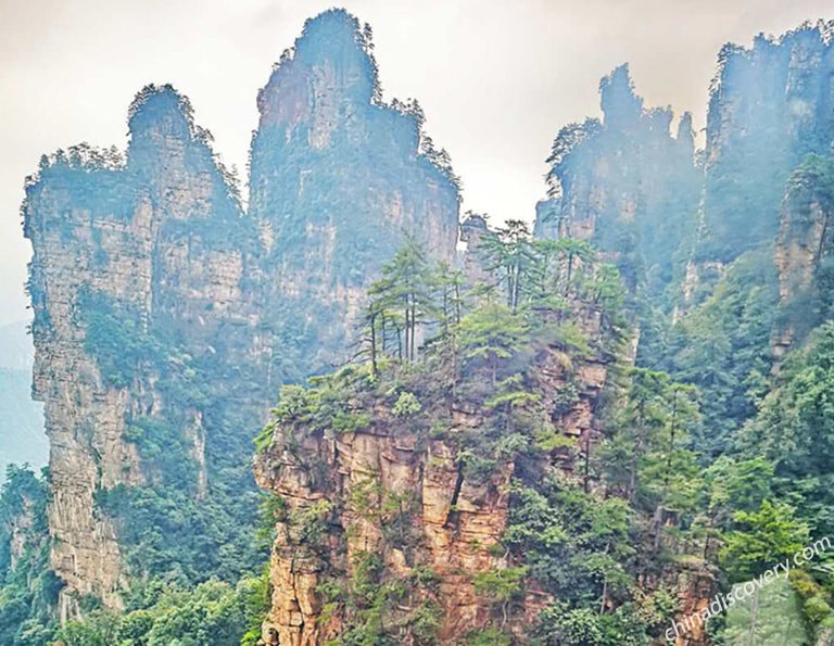 Chona from Philippines - Tianzi Mountain Pillar Forest