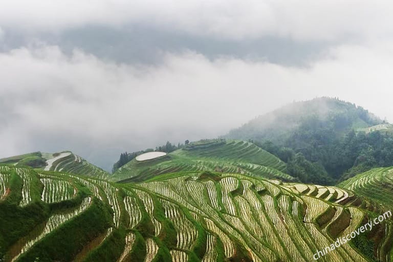 Delma from Ireland - Longji Rice Terrace Scene