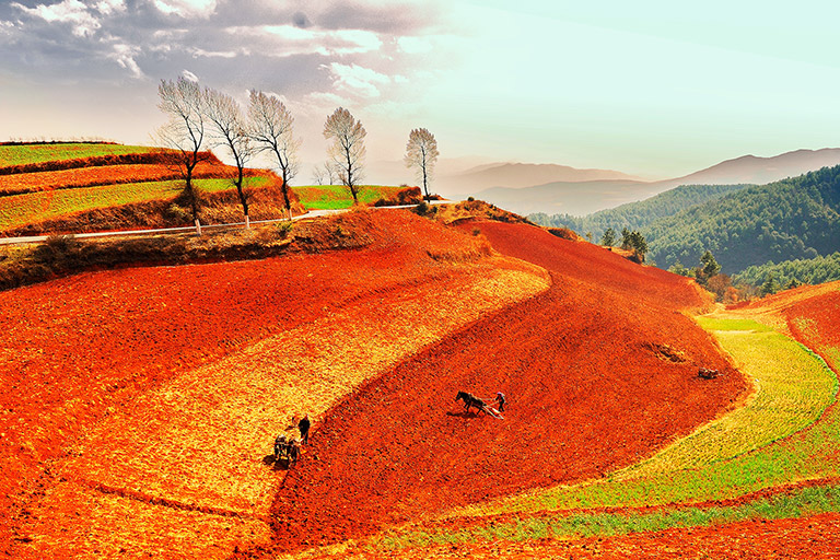 Qicai Slope Scenery in October ~ November 