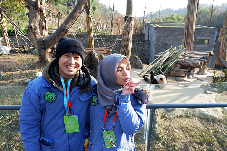 Panda Volunteer Tour at Dujiangyan Panda Base