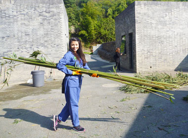 Dujiangyan Tours