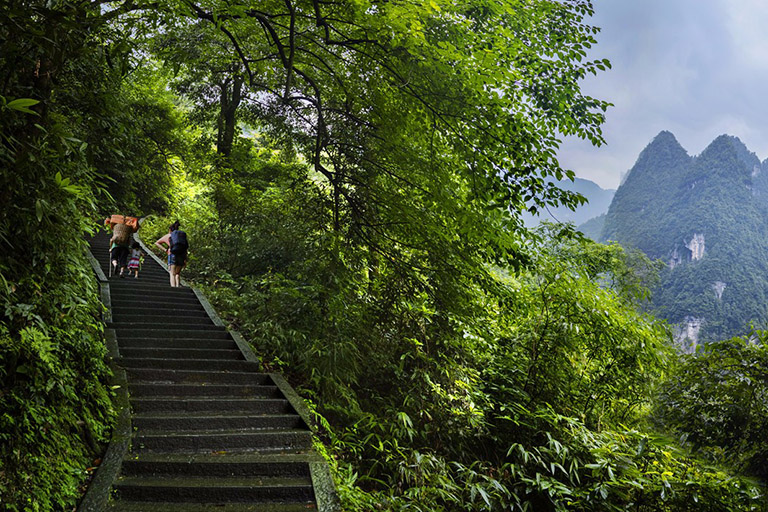 Hiking along stone steps of Mount Emei