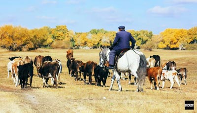 China Tours for Expats