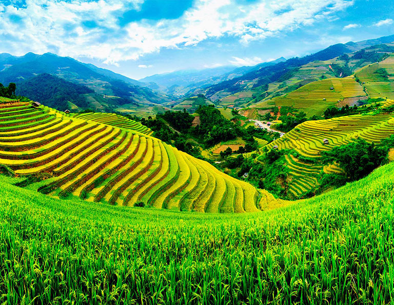 Longji Terraces Jinkeng Rice Terraces in Early Autumn