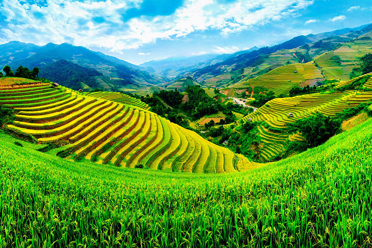 Longji Terraces Jinkeng Rice Terraces in Early Autumn