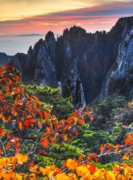 Huangshan Autumn Tour