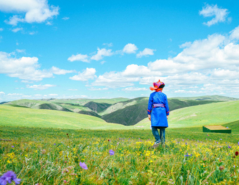 Huitengxile Grassland Yellow Flowers Valley Sightseeing