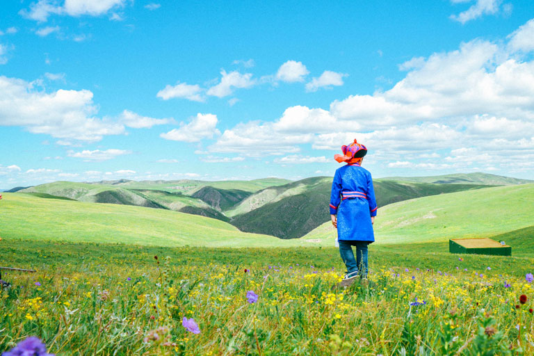 Huitengxile Grassland Yellow Flowers Valley Sightseeing