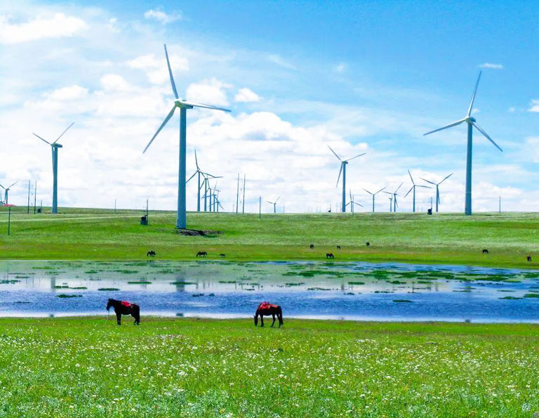 Huitengxile Grassland in July