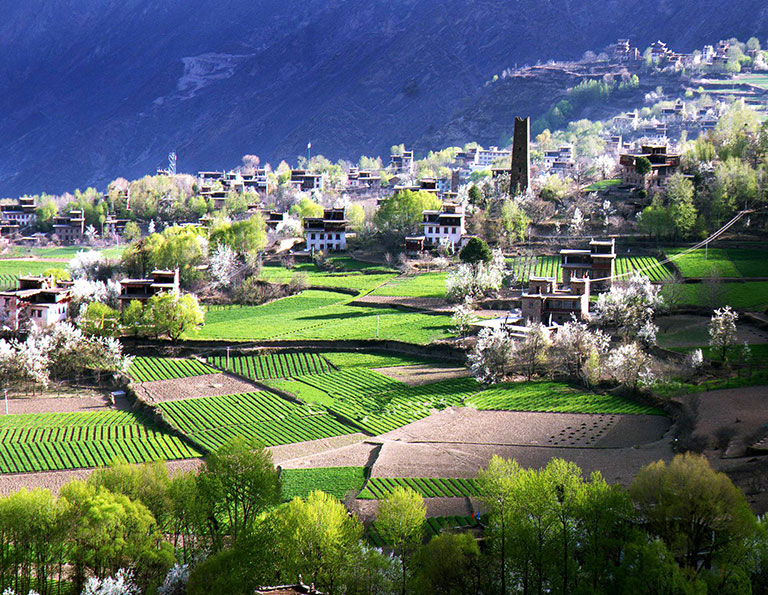 Jiaju Tibetan Village in Spring