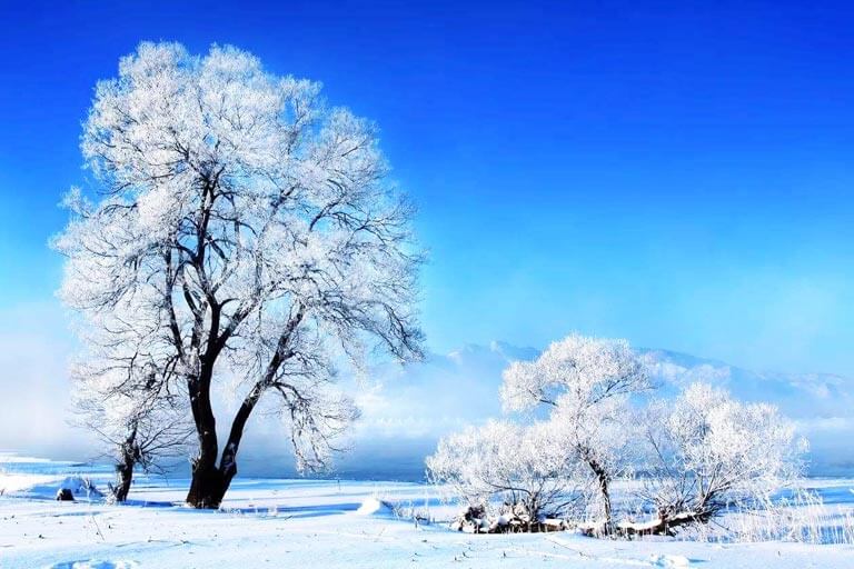 Rime Scenery at Jilin Wusong Island