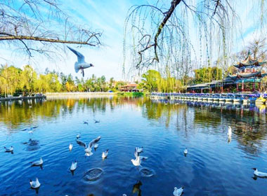 Kunming Tours