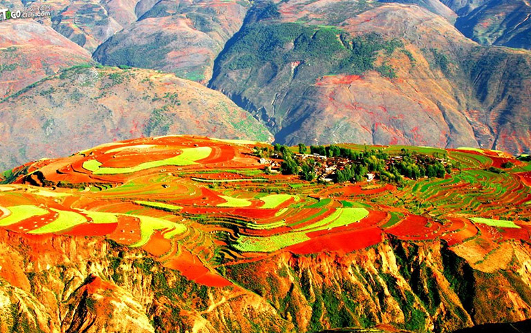 Yuanyang Rice Terrace