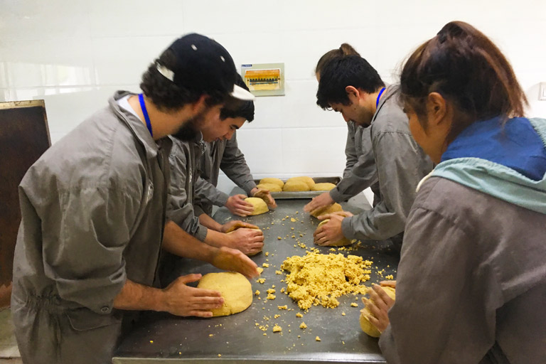 Bifengxia Volunteers Making Panda Cakes