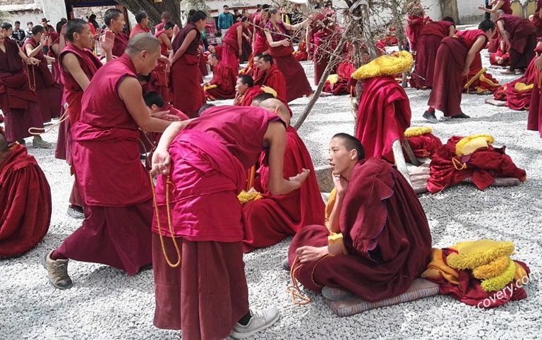 Monks Debating at Sera Monastery