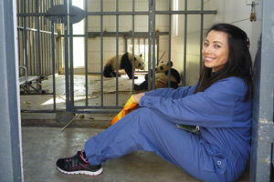 Close Contact with Pandas during Volunteering