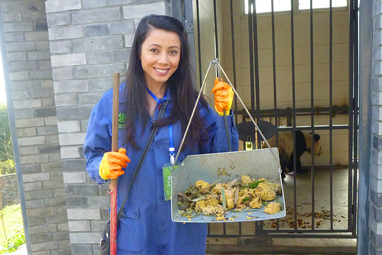 Panda Volunteer Work to Clean Panda Enclosure