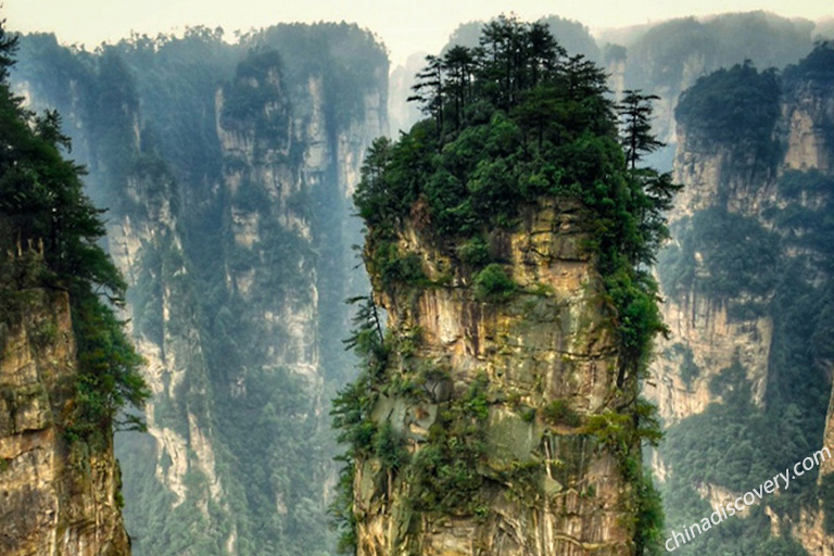 Mr. Pasquale from Italy - Peculiar Stone Peaks at Tianzi Mountain