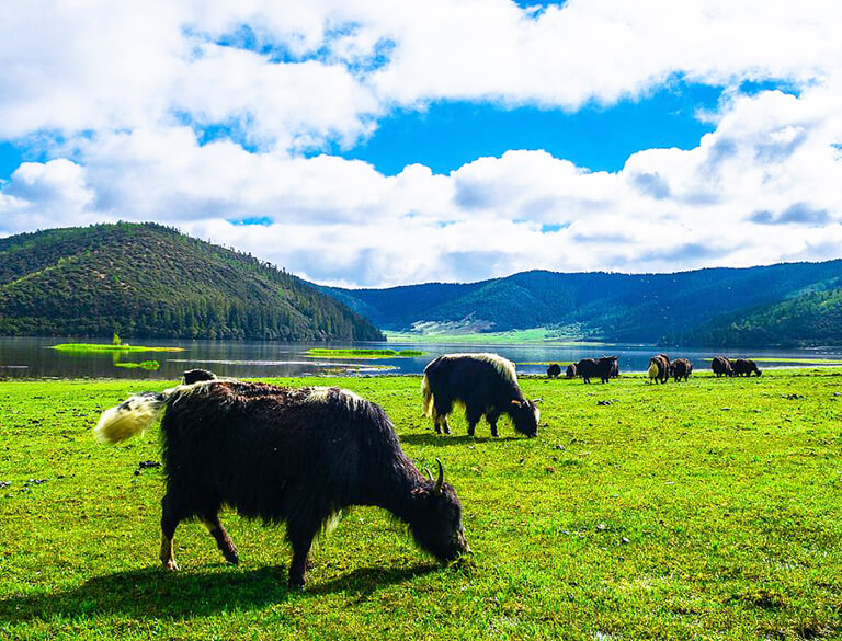 Pudacuo National Park