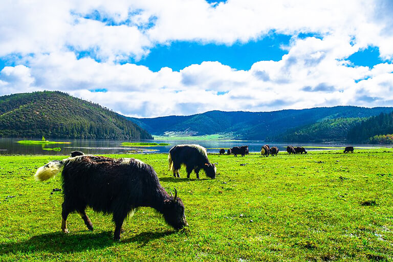 Pudacuo National Park