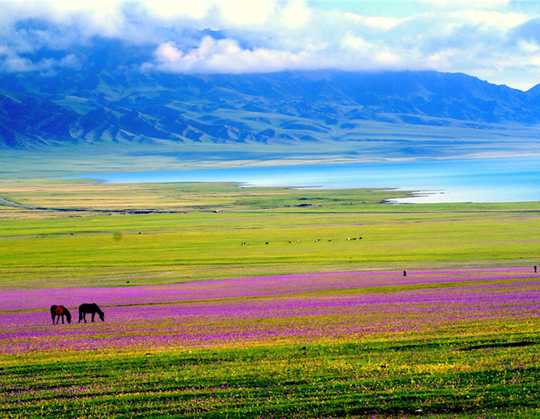 Colorful Grasslands around Sayram Lake