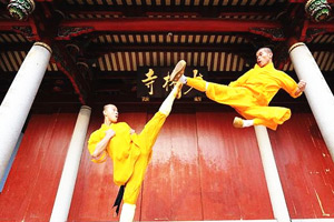 Experience the Real Shaolin Kung Fu