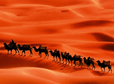 Silk Road