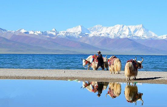 Tibet Visa