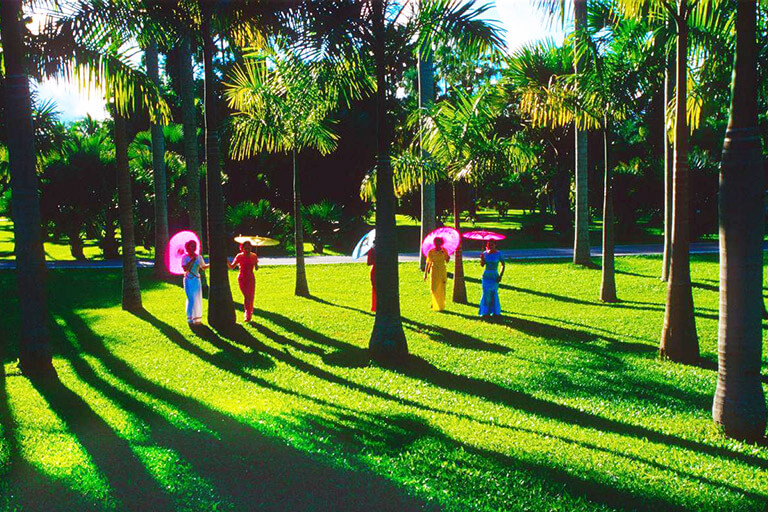 Tropical Plants Garden