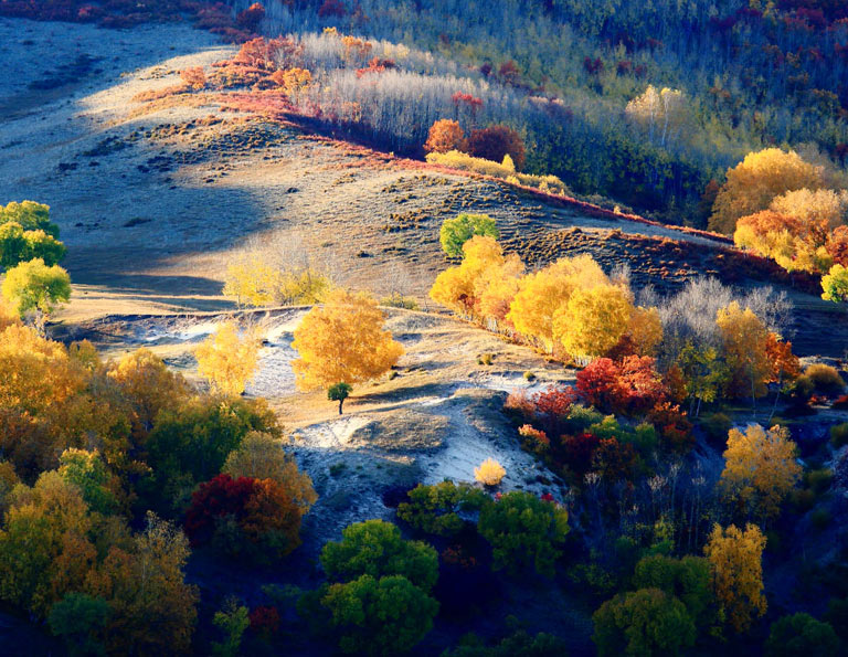 Wulan Butong Grassland Hamaba Autumn Scenery