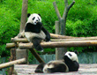 Xian Chengdu Tours