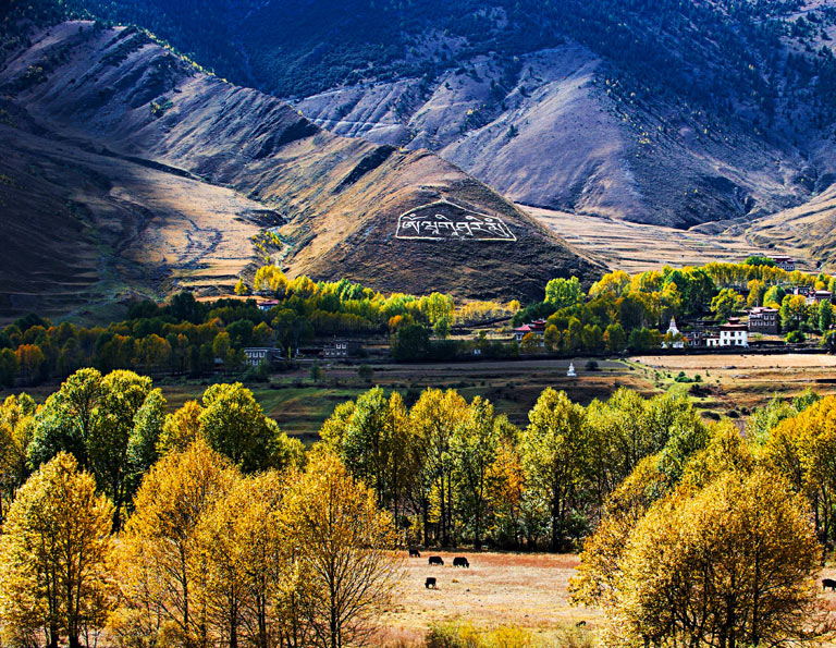 Xinduqiao Town Countryside Scenery in Autumn