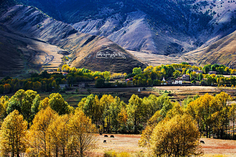 Xinduqiao Town Countryside Scenery in Autumn