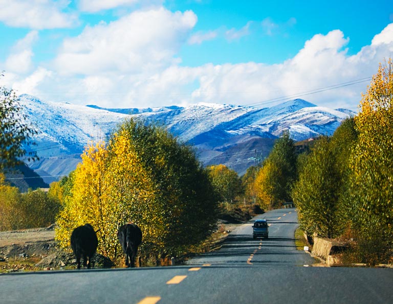 Xinduqiao Scenic Driving Road in Autumn