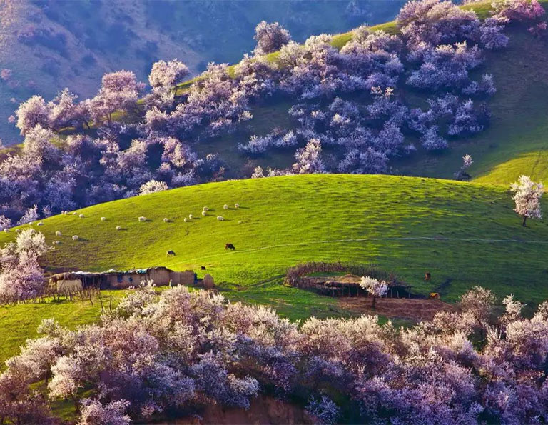 Xinghuagou (Apricot Valley)