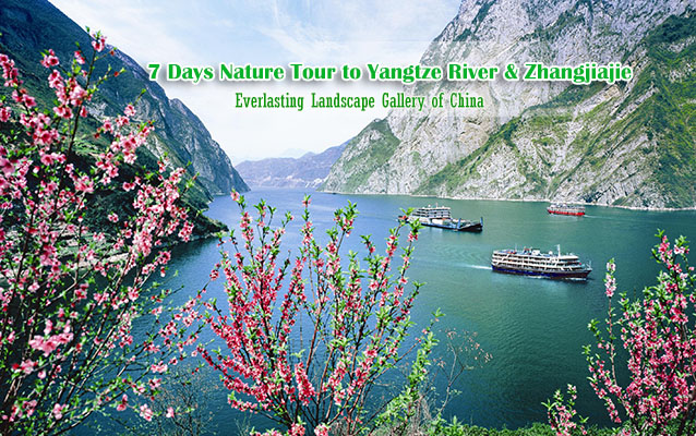 China Spring Tours 2023/2024