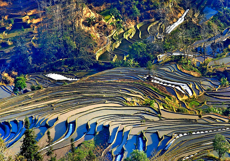 Yuanyang Rice Terrace