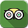 Trip Advisor Icon